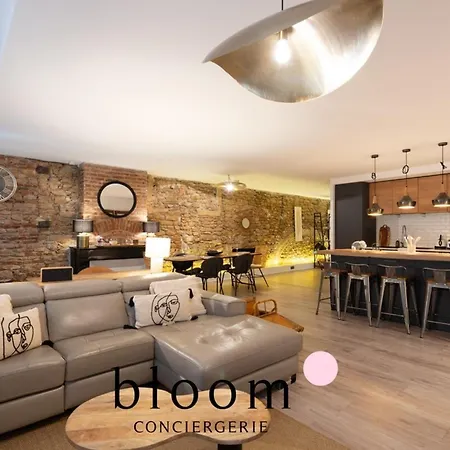 Loft De Standing Plein Coeur Νανσύ
