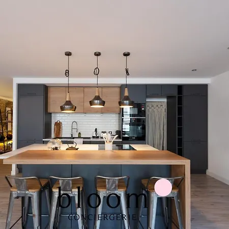 Lejlighed Loft De Standing Plein Coeur Nancy