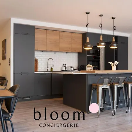 Loft De Standing Plein Coeur Lejlighed