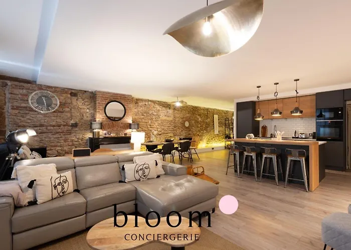 Loft De Standing Plein Coeur Nancy