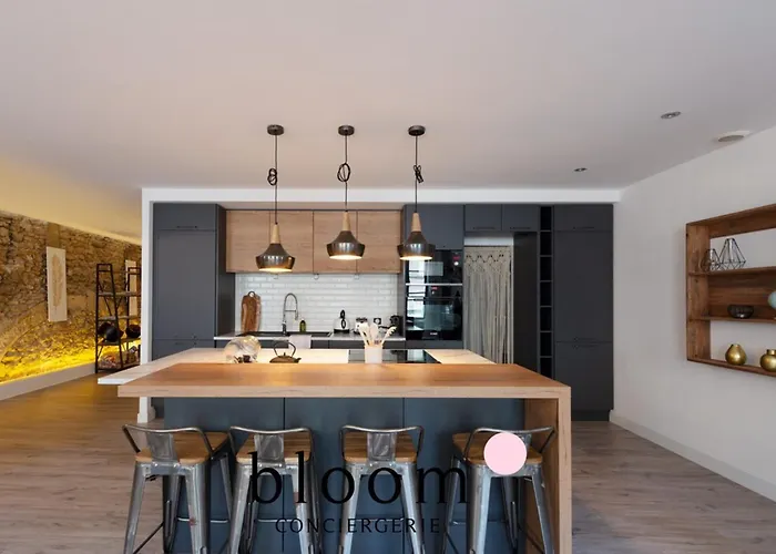 Apartment Loft De Standing Plein Coeur Nancy