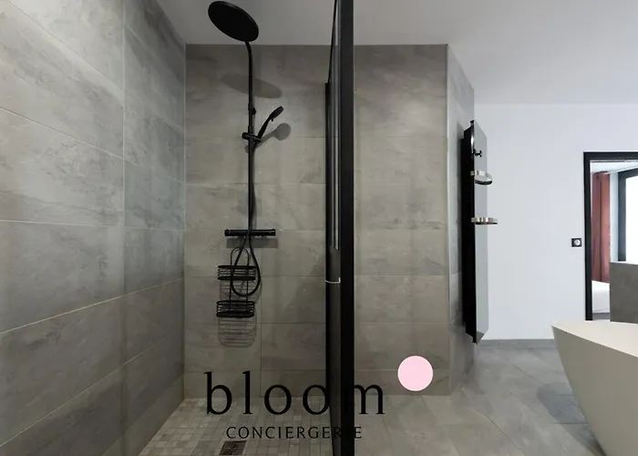 Loft De Standing Plein Coeur Lejlighed